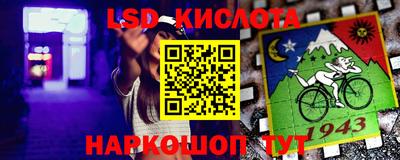 дмт Донской