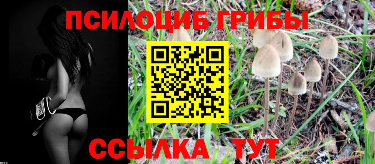 Псилоцибиновые грибы GOLDEN TEACHER Карпинск