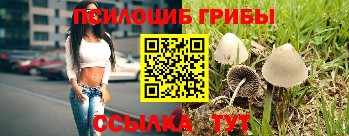 Карпинск  Галлюциногенные грибы мицелий  Вход с VPN 